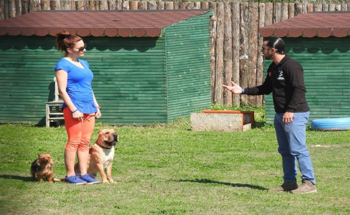 Köpeğe GEL Komutunun Öğretilmesi