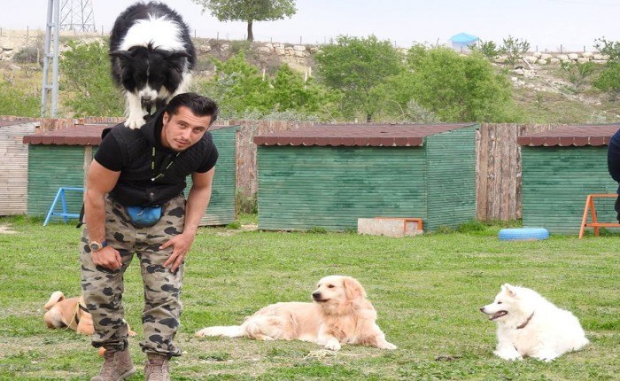 Köpek dostlarımız, günlük hayatımızın vazgeçilmezleri oldular.