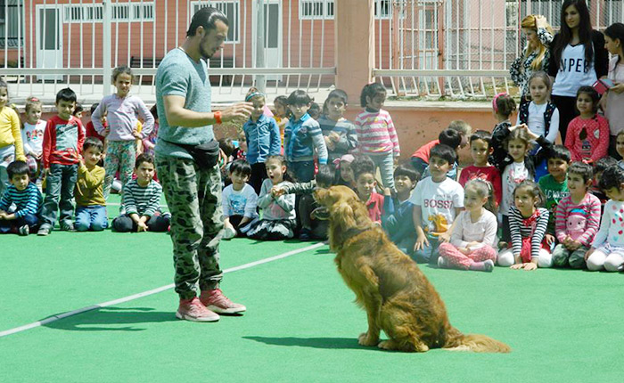 Davranış Anlama ve Modifikasyon