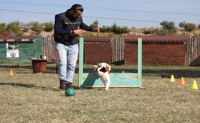 köpeği odaya kapatmak